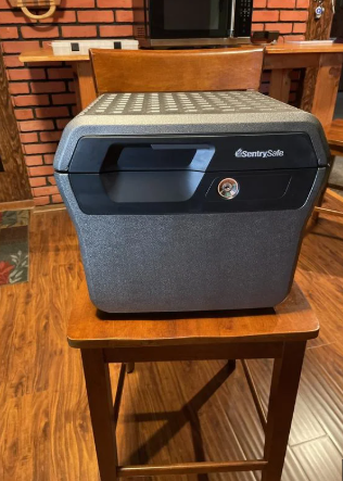 Sentry Safe FHW40100